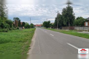 2_291.jpg