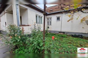 7_138.jpg
